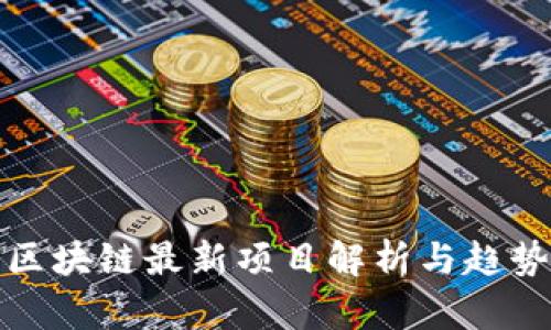 夸克区块链最新项目解析与趋势展望