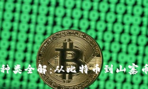 区块链币种种类全解：从比特币到山寨币的深度解析