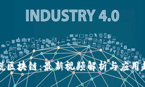 胡说区块链：最新视频解析与应用趋势