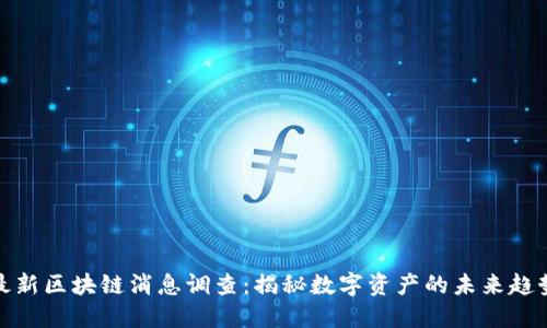 最新区块链消息调查：揭秘数字资产的未来趋势