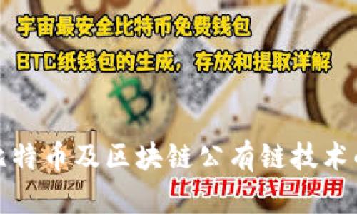 全面解析比特币及区块链公有链技术的未来发展