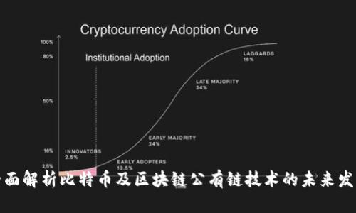 全面解析比特币及区块链公有链技术的未来发展