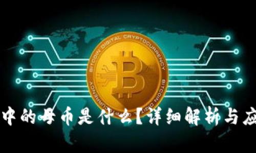 区块链中的母币是什么？详细解析与应用实例