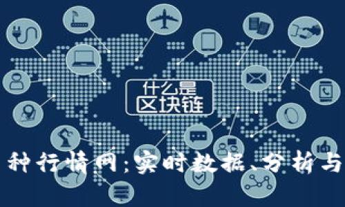 区块链币种行情网：实时数据、分析与投资策略