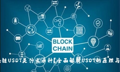 区块链USDT是什么币种？全面解析USDT的原理与应用