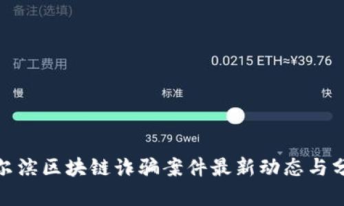 哈尔滨区块链诈骗案件最新动态与分析