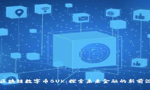 区块链数字币BUK：探索未来金融的新前沿