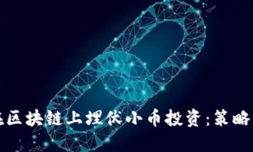 如何在区块链上埋伏小币投资：策略与指南