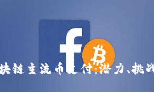 深入探讨区块链主流币支付:潜力、挑战与未来趋势