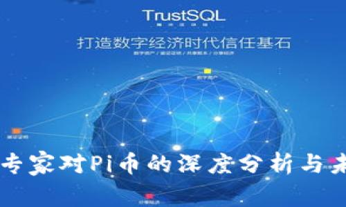 区块链专家对Pi币的深度分析与未来展望