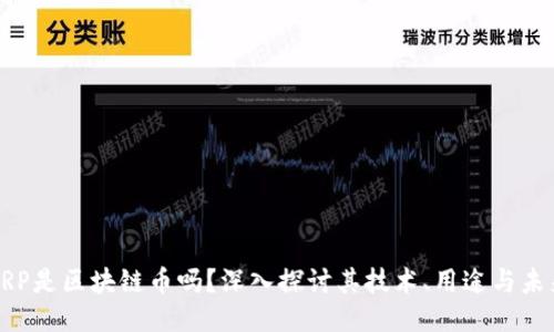 XRP是区块链币吗？深入探讨其技术、用途与未来