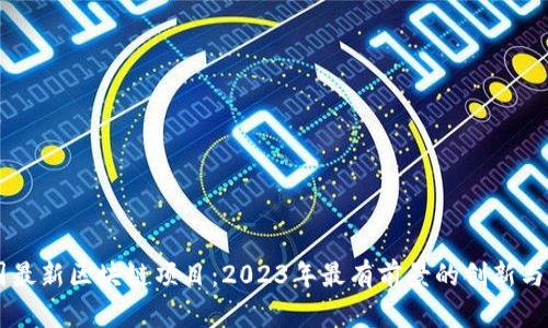 美国最新区块链项目：2023年最有前景的创新与应用