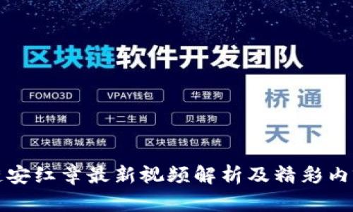 区块链安红章最新视频解析及精彩内容回顾