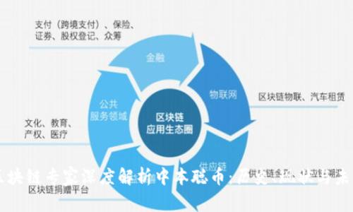 区块链专家深度解析中本聪币：历史、现状与未来