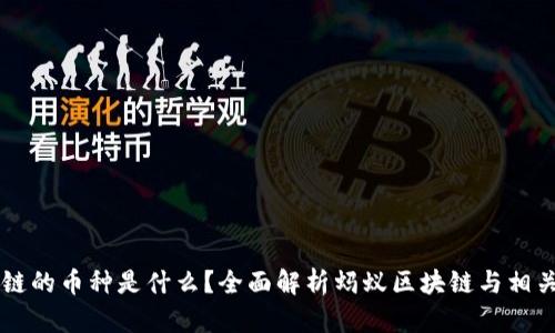 蚂蚁区块链的币种是什么？全面解析蚂蚁区块链与相关数字货币