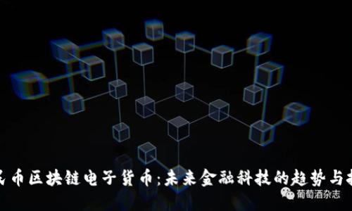 人民币区块链电子货币：未来金融科技的趋势与挑战