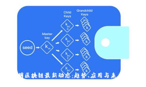 昆明区块链最新动态：趋势、应用与未来展望
