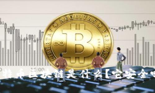 比特币区块链是什么？它安全吗？