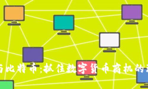 区块链与比特币：抓住数字货币商机的理想论坛