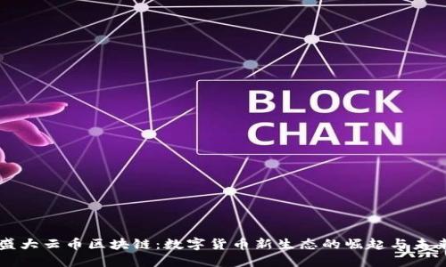 盛大云币区块链：数字货币新生态的崛起与未来