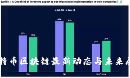 比特币区块链最新动态与未来展望