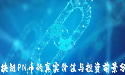 
区块链PN币的真实价值与投资前景分析