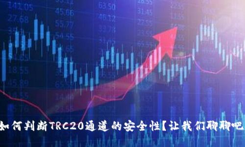如何判断TRC20通道的安全性？让我们聊聊吧！