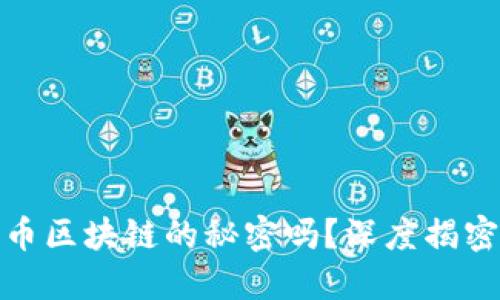 你知道比特币区块链的秘密吗？深度揭密与投资建议