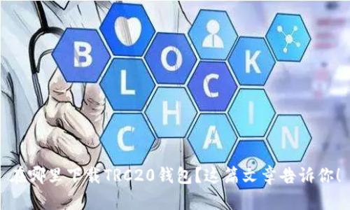 在哪里下载TRC20钱包？这篇文章告诉你！