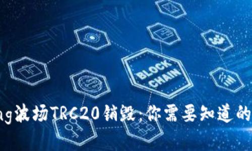 yalong波场TRC20销毁：你需要知道的一切！