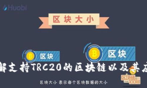 深入了解支持TRC20的区块链以及其应用前景