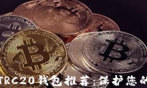 
最安全的TRC20钱包推荐：保护您的数字资产