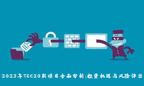 2023年TRC20新项目全面分析：投资机遇与风险评估