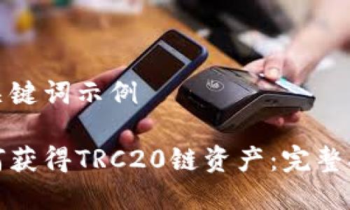 和关键词示例

如何获得TRC20链资产：完整指南