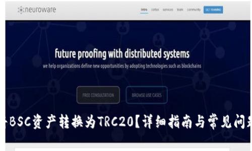 如何将BSC资产转换为TRC20？详细指南与常见问题解析