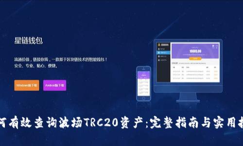如何有效查询波场TRC20资产：完整指南与实用技巧