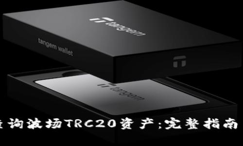如何有效查询波场TRC20资产：完整指南与实用技巧