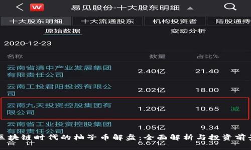 区块链时代的柚子币解盘：全面解析与投资前景