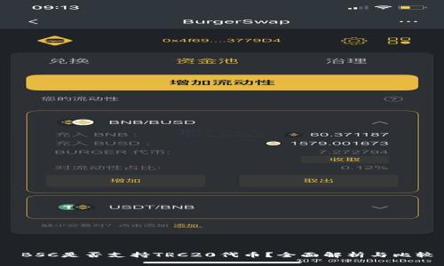  BSC是否支持TRC20代币？全面解析与比较