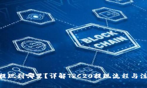 TRC20提现到哪里？详解TRC20提现流程与注意事项