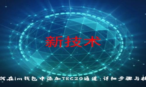 如何在im钱包中添加TRC20通道：详细步骤与技巧